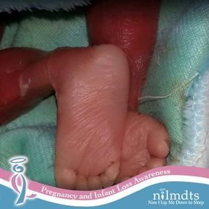 Meet your Posher, Nikki